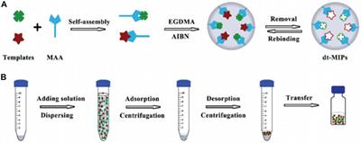 Recent Advances in Molecular-Imprinting-Based Solid-Phase Extraction of Antibiotics Residues Coupled With Chromatographic Analysis